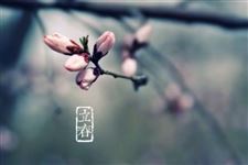 2019年10月17日是什么节日:立春,除夕