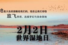 2019年10月17日是什么节日:世界湿地日
