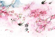 春分是几月几日,2018年春分是哪天