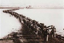 抗美援朝纪念日(每年10月25日)