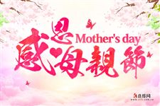 母亲节的由来,母亲节的来历