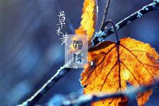 霜降:2018年10月23日
