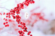 立冬:2018年11月7日