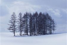 小雪:2018年11月22日