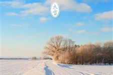 大雪:2018年12月7日