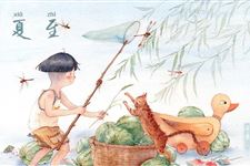 夏至短信,夏至问候短信句子大全