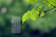 小暑是几月几日,2018年小暑是什么时候