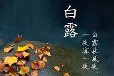 白露是几月几日,2018年白露是什么时候