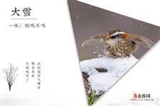 大雪三候:鹖鴠不鸣,虎始交,荔挺出 大雪三候:鹖鴠不鸣,虎始交,荔挺出