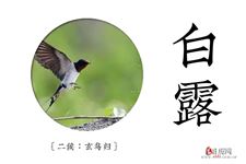 关于白露节气的图片 关于白露节气的图片