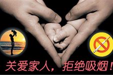世界无烟日的宣传资料