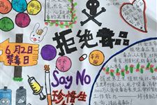 国际禁毒日手抄报,关于国际禁毒日手抄报大全