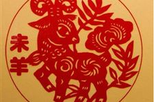 属羊的今年多大,属羊的2018年多大了