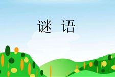 儿童谜语,儿童谜语大全