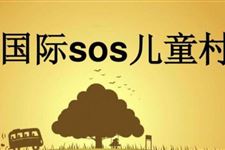 sos儿童村,sos儿童村的起源及历程