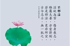 2018年九毒日第八天:农历五月二十六(7月9日)
