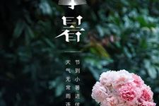 小暑养生妙招