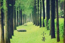 2018小暑过后多久入伏