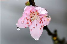 2018小暑会下雨吗