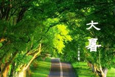 2018大暑是入伏吗
