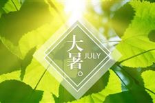 大暑的气候特点是什么
