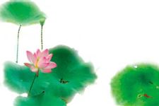 大暑过后还热吗