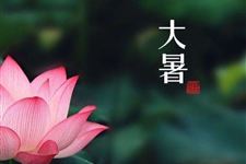 2018年大暑是三伏天吗
