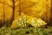 立秋节气的气候特点是什么
