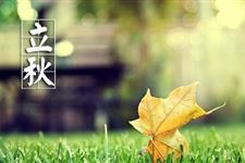为什么立秋在中伏