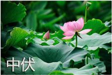 2018年中伏几月几号结束