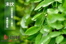 末伏天牢记6个忌