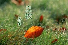2018年立秋需要注意什么