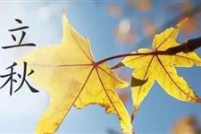 立秋就是末伏吗