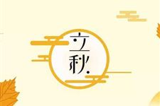 立秋是三伏的开始吗