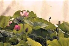 2018年出伏是哪一天