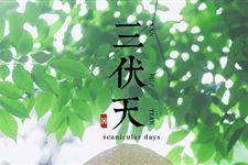 三伏天热还是秋老虎热