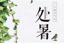 处暑完伏是什么意思