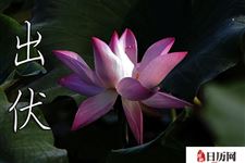 2018年出伏后还热吗