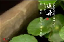 夏即走 凉风至,处暑英文怎么说?