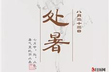 农村俗语“立秋下雨万物收,处暑下雨万物丢”有什么指导意义?