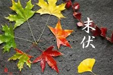 2018年末伏是几月几号