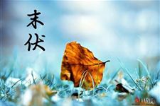 2018年末伏天气如何