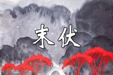 末伏至,养“三脏”,一年少生病!