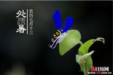 处暑是什么季节