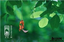 处暑是什么节气