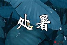 2018年处暑会下雨吗