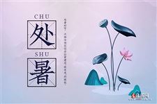 处暑已至,秋老虎是否还在