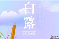秋意浓,白露至,养生记住四秘诀