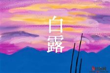 白露寒露是什么意思
