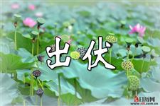 出伏后就凉快了吗
